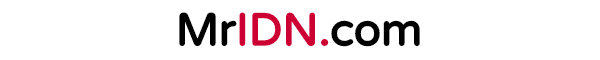 MrIDN.com Logo